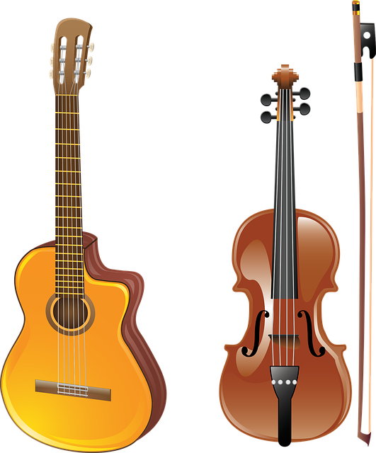 Quelles sont les différentes catégories d'instruments de musique ?
